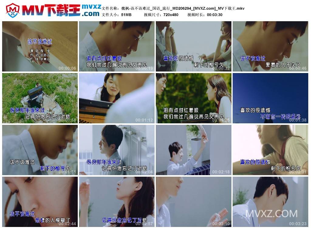 魏枫-该不该难过_国语_流行_MD206294